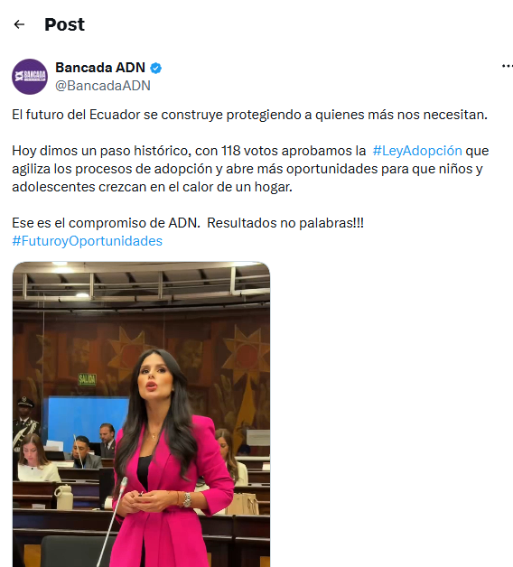 Detalles Ley de Adopción